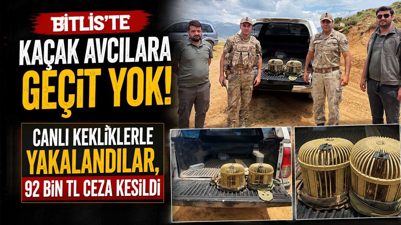 Bitlis'te Canlı Kekliklerle Yakalandılar, 92 Bin TL Ceza Kesildi