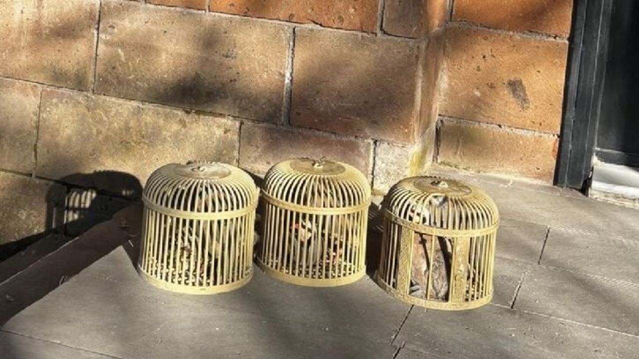 Bitlis'te kaçak avcılara ağır ceza