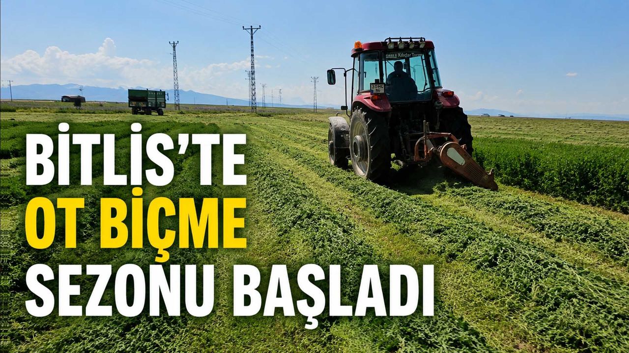 Bitlis'te Ot Biçme Sezonu Başladı
