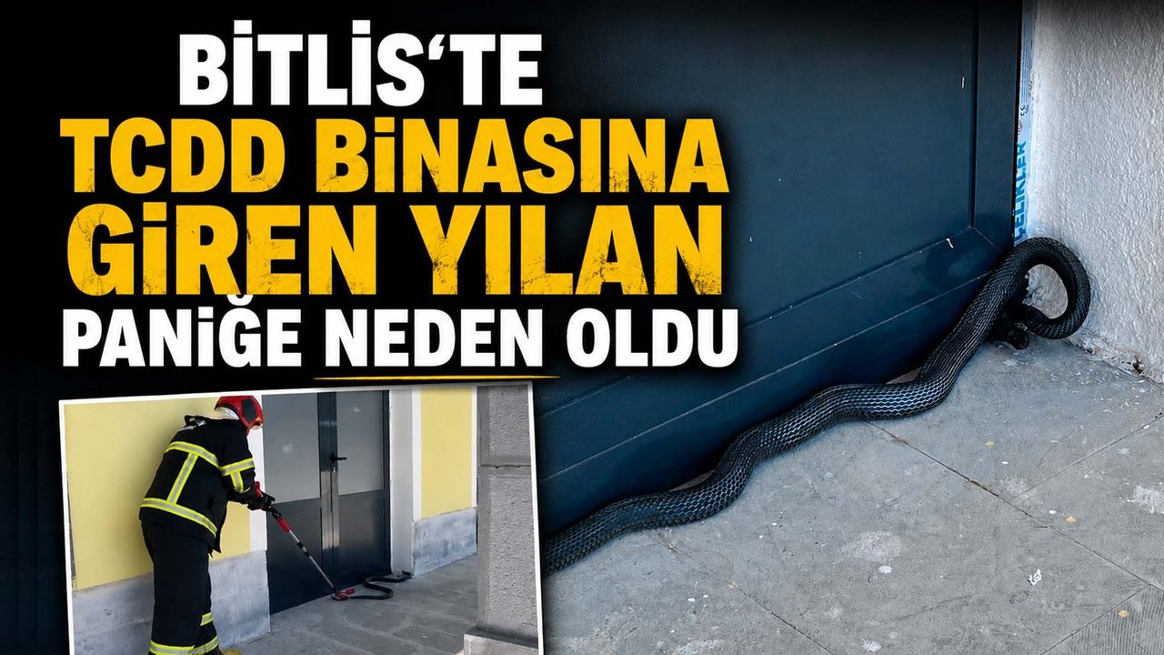 Bitlis'te TCDD Binasına Giren Yılan Paniğe Neden Oldu