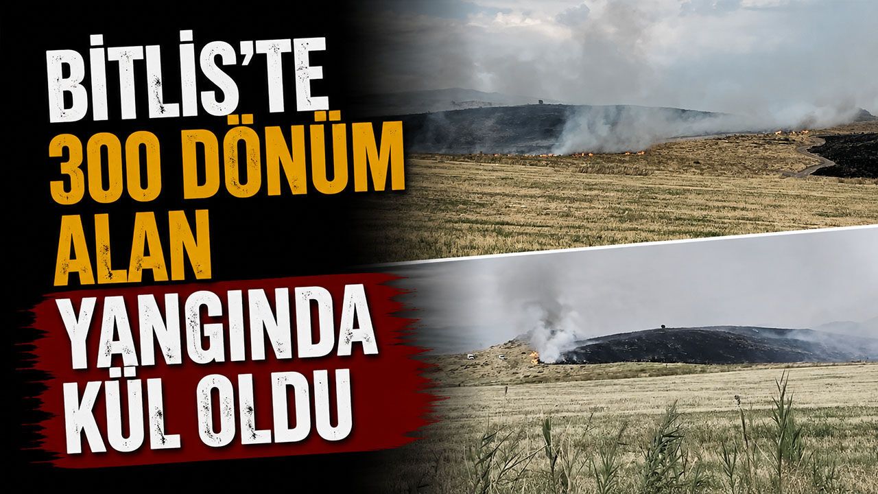 Bitlis'te 300 dönüm alan yangında kül oldu