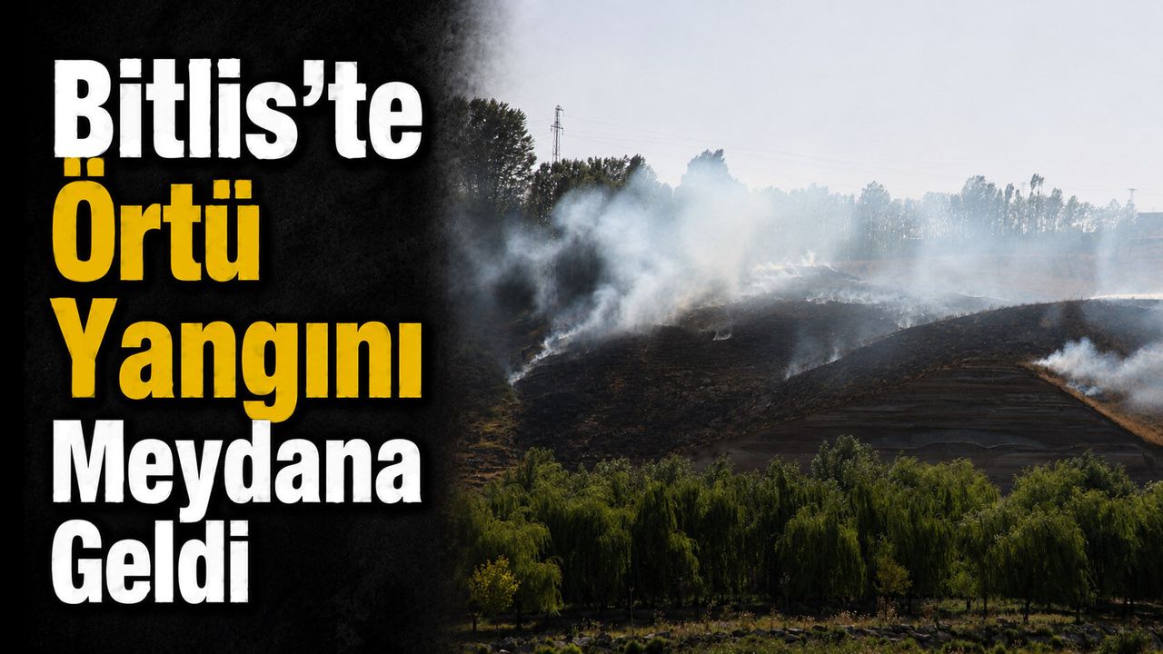 Bitlis'te Örtü Yangını Meydana Geldi