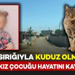 Kedi ısırmasıyla kuduz olan kız çocuğu hayatını kaybetti