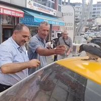 Bitlis