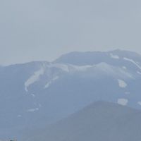 Bitlis