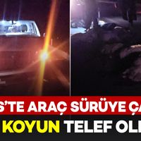 Bitlis