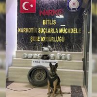Bitlis