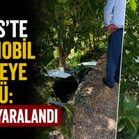 Bitlis