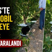 Bitlis