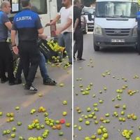 Bölge