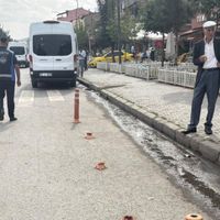 Bitlis