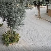 Güncel