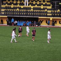 Bitlis