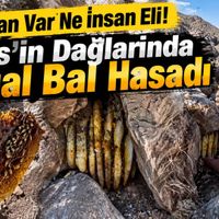 Bitlis