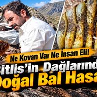 Bitlis