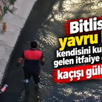 Bitlis