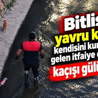 Bitlis
