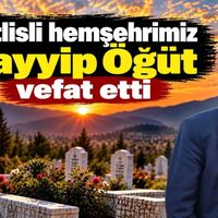 Bitlis