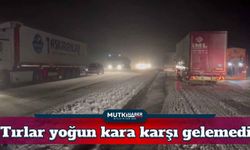 Ağrı ve Kars'ta Tırlar Yoğun Kara Karşı Gelemediler