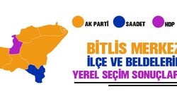 Bitlis ilçe ve beldelerin yerel seçim sonuçları 2019