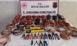 Bitlis'in 3 ilçesinde hırsızlık yaptıkları iddia edilen 8 şüpheli yakalandı