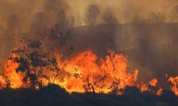 Makilik Alanda Orman Yangını Kontrol Altına Alınıyor