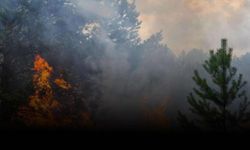 Bingöl'de İki Ayrı Orman Yangınına Müdahale Ediliyor