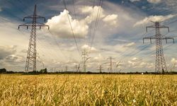 TZOB Başkanı: Tarım İçin Elektrik Zammı Geri Çekilmeli