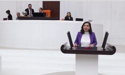 Milletvekili Gökalp, Adalet Bakanına Tatvan Belediyesinin Cumhurbaşkanı fotoğrafı için soru önergesi sundu.