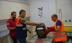 Bitlis'te sıkıştığı ot biçme makinesinde ön ayakları kopan kedi ameliyat edildi
