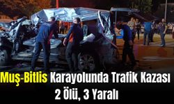 Muş-Bitlis Karayolunda Trafik Kazası: 2 Ölü, 3 Yaralı