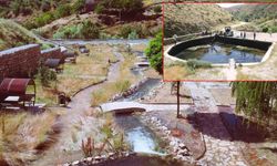 Bitlis Belediyesi Altunkalbur Mesire Alanı'nda Temizlik Çalışmalarına Başladı