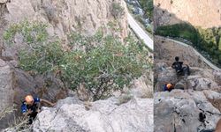 Bitlis'te Kayalıklarda Mahsur Kalan 4 Oğlak Kurtarıldı