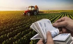 Çiftçilere Müjde: Destek Ödemesi Hesaplara Aktarıldı