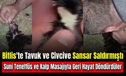 Bitlis'te Sarsanın Saldırdığı Tavuğu ve Civcivi Geri Hayata Döndürdüler