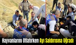 Hayvanlarını Otlatırken Ayının Saldırısına Uğrayan Çoban Ağır Yaralandı