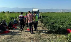 Tarlada uyuyakalan küçük kız kamyonun altında can verdi! Sonrasında yakınları şoförü öldürdü