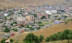 Köy muhtarı tutuklandı, yerine kayyım atandı