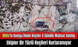 Bitlis'in Komşu İlinde Keçiler Kayalıklarda 4 Gün Mahsur Kaldılar