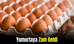 Yumurta Fiyatlarına Zam Geldi!