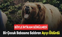 12 Yaşındaki Çocuk Babasına Saldıran Ayıyı Öldürdü