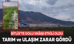 Bitlis'te Dolu Yağışı Tarım ve Ulaşımı Olumsuz Etkiledi