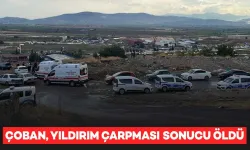 Hayvanlarını Otlatan Çobana Yıldırım Çarpması Sonucu Hayatını Kaybetti