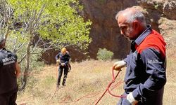 Kayalıklarda Mahsur Kalan 3 Keçi Kurtarıldı