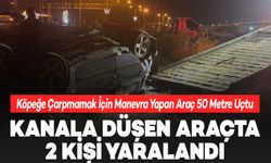 Köpeğe Çarpmamak İçin Manevra Yapan Araç 50 Metre Uçtu: 2 Yaralı