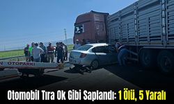 Muş’ta Otomobil Tıra Ok Gibi Saplandı: 1 Ölü, 5 Yaralı