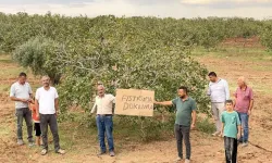 Köylülerden Şanlıurfa Büyükşehir Belediyesi'ne İmar Tepkisi