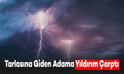 Tarlaya Giden Adama Yıldırım Çarptı: Adam Ağır Yaralandı, Eşek Telef Oldu