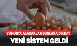 Yumurta Alacaklar Dikkat: Yeni Sistem Geldi Yumurtaya