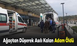 Ağaçtan Düşerek Dallarda Asılı Kalan Adam Hayatını Kaybetti